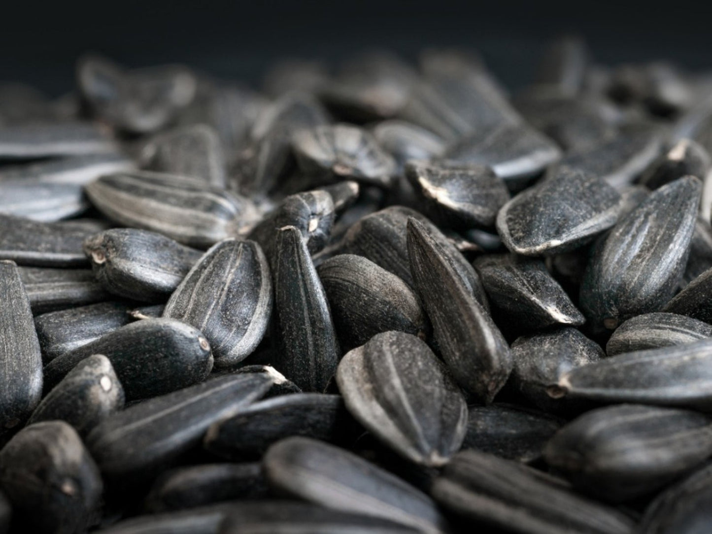 Black Oil Sunflower Seed