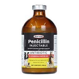 Penicillin 100cc