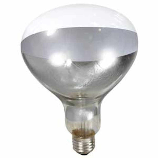 Little Giant Clear Heat Lamp Bulb